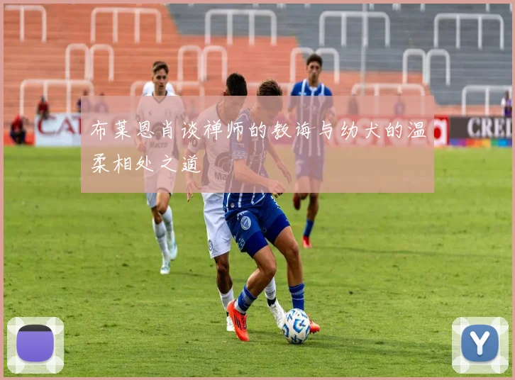 布莱恩肖谈禅师的教诲与幼犬的温柔相处之道